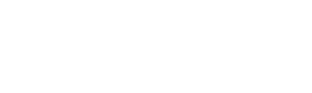 Spotify Logo White