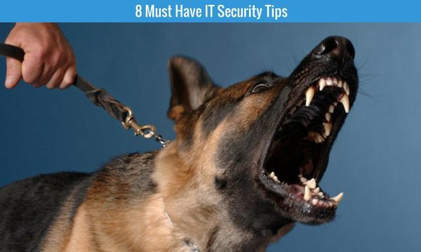 8-must-have-IT-security-tips-1